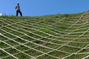 Instalatie de crescut iarba