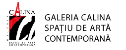 banner-monernism-calina-partener