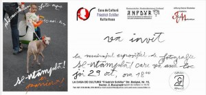 expozitiei de fotografie “se intampla!”/ Corina Vasile