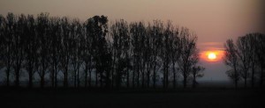 La rasarit