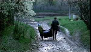 Cele mai bune scurtmetraje romanesti (NCRR/Bucuresti)