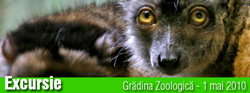 Excursia foto “Grădina Zoologică”