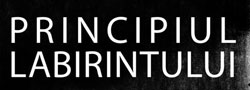 Principiul Labirintului, Lucia Dumitrescu @ BCU