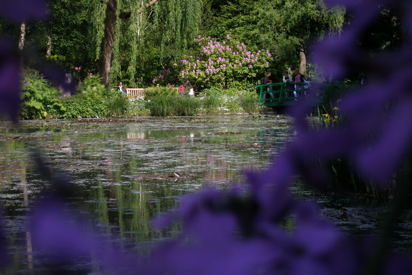 giverny - monet _lucian muntean 05_resize