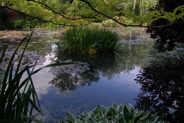 giverny - monet _lucian muntean 08_resize