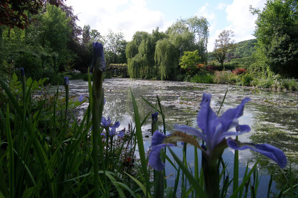 giverny - monet _lucian muntean 11_resize