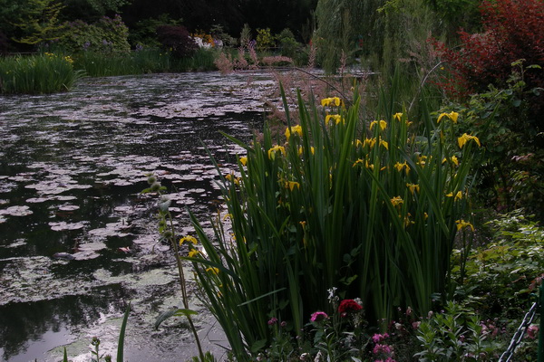 giverny - monet _lucian muntean 13_resize