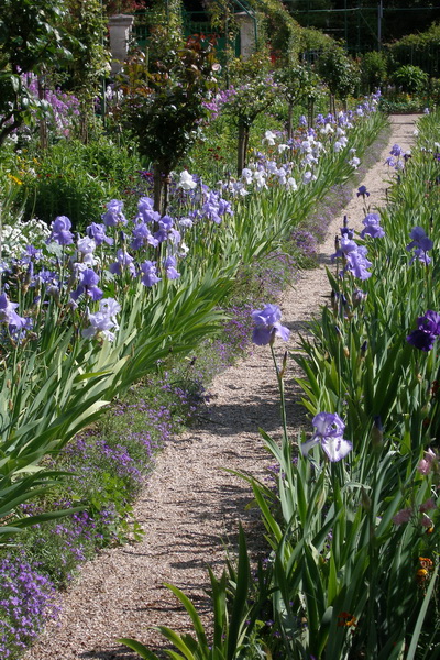 giverny - monet _lucian muntean 20_resize