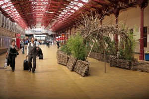 Tunelul vegetal @ Artă și Peisaj. Grădini Nomade