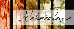 METAMORFOZE / PICTURA SUSPENDATĂ @ Cluj
