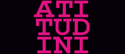 Salonul Național de Artă Plastică “Atitutdini Contemporane”, ediția a IV-a, 2011 @ Galeriile de Artă UAP “Cupola” și “Tonitza” Iași
