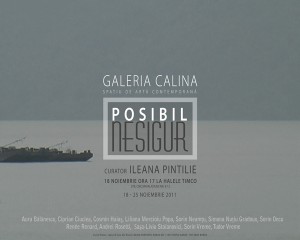 „Posibil – Nesigur”, Fotografie, video, instalaţie în Timişoara