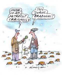În jurul bradului