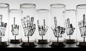 Wire Anatomy (6)