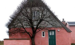 tree-1