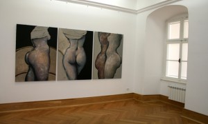 nadia ioan muzeul de arta timisoara (9)