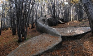 whale-2-640x428
