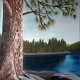 Marsha Thornton