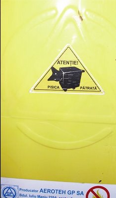 Legenda urbana a pisicii patrate
