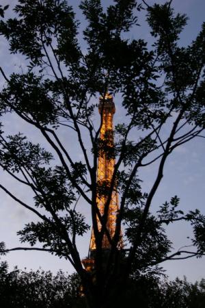 resize_of_paris_-_tour_eiffel___lm_0000008