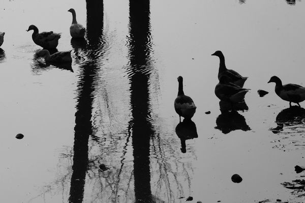 resize-of-lm__0004