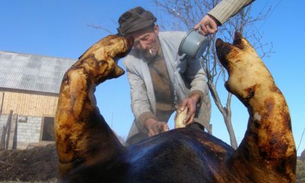 Young Romanian Art #14 – ultima expozitie