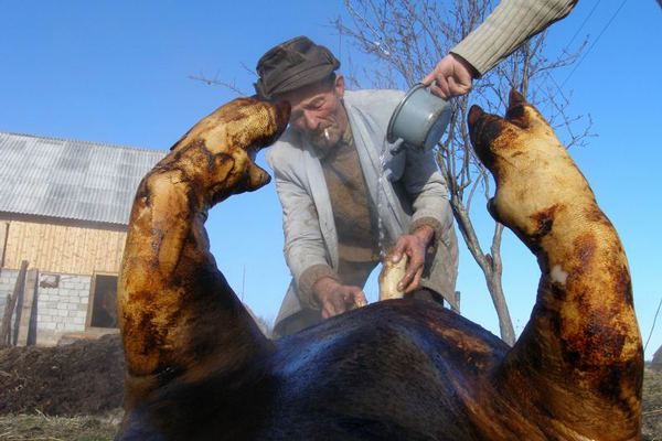 lucian-muntean1 lucian-muntean1