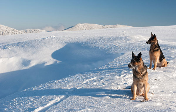 2009_12_19_suhard_151