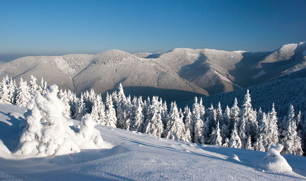 2009_12_19_suhard_181