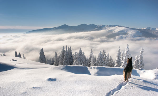 2009_12_19_suhard_252