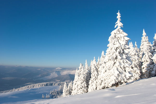 2009_12_19_suhard_341