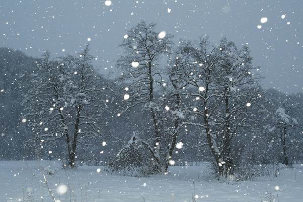 resize-of-peisaje022