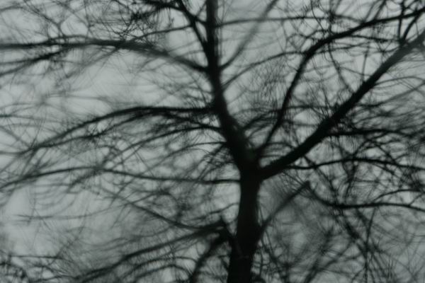 resize-of-lm__14561