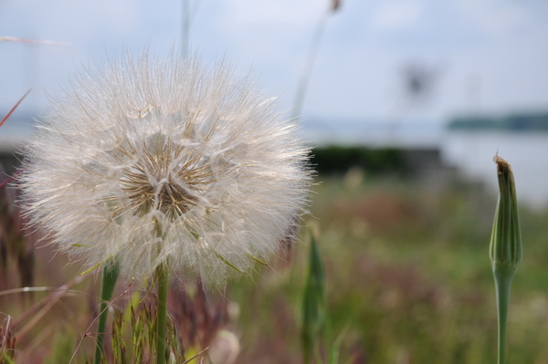 LM0_3986_resize