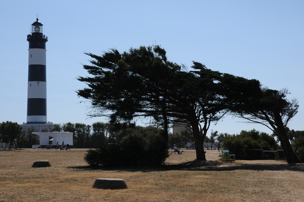 farul chassiron 01_resize