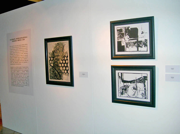 iNAUG-eXPO-MATRIZ-ESTILISTICA-38