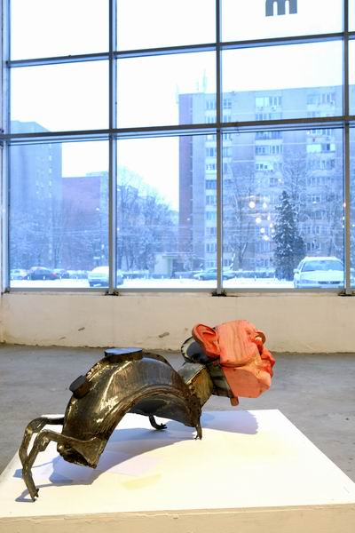 20 ani facultatea arte timisoara foto ioan tasi 05