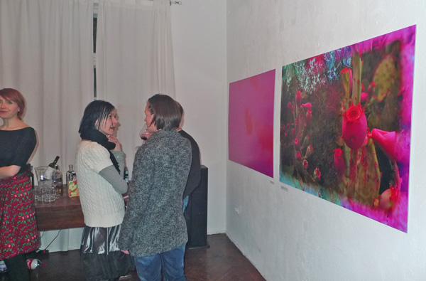 P1060881