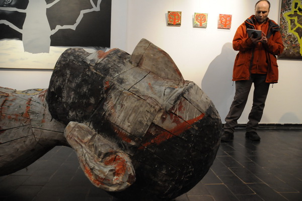 expo simeza-foto lucian muntean 14