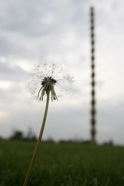 targu jiu - brancusi foto lucian muntean 12