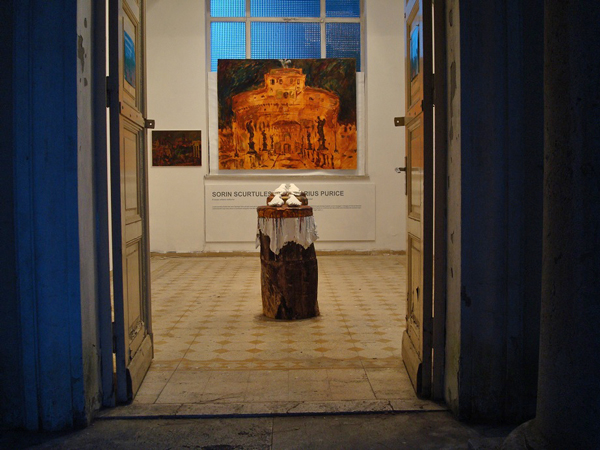 Sorin Scurtulescu Marius Purice SPAZI APERTI (13)