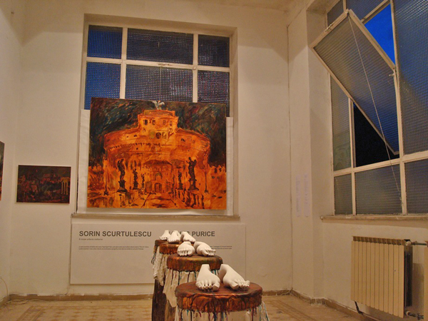 Sorin Scurtulescu Marius Purice SPAZI APERTI (14)