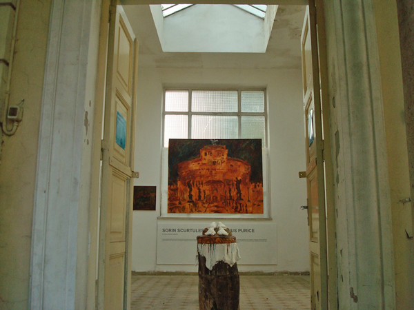 Sorin Scurtulescu Marius Purice SPAZI APERTI (4)