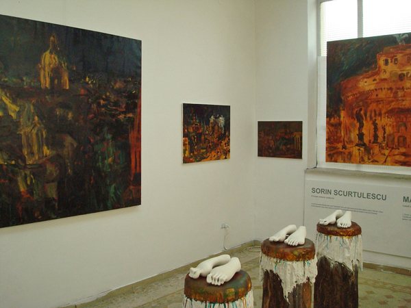 Sorin Scurtulescu Marius Purice SPAZI APERTI (7)