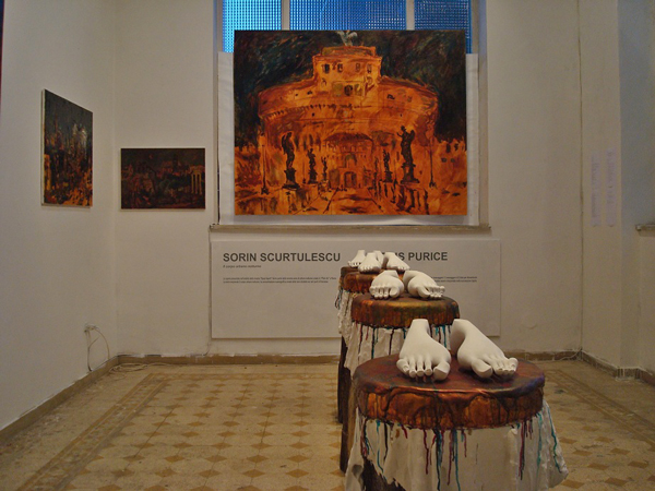 Sorin Scurtulescu Marius Purice SPAZI APERTI (9)