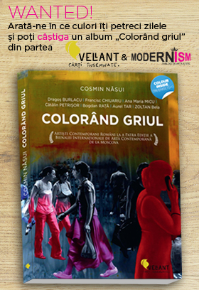 WANTED! Dincolo de gri: culorile de zi cu zi