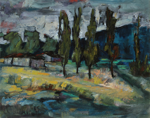 16.-Plopi,-1972