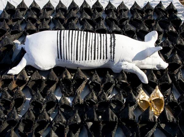 Resize of porcul incaltat - foto maxim dumitras 001