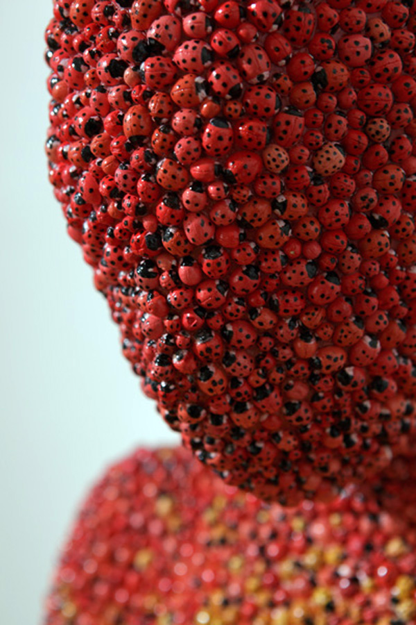 Lady Bug (7)