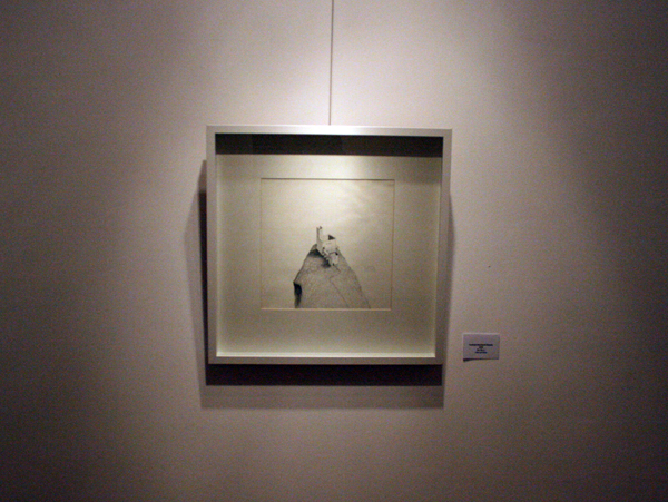 Mihail Coșuletu, THE GREATER GOOD @ Art Yourself Gallery (9)